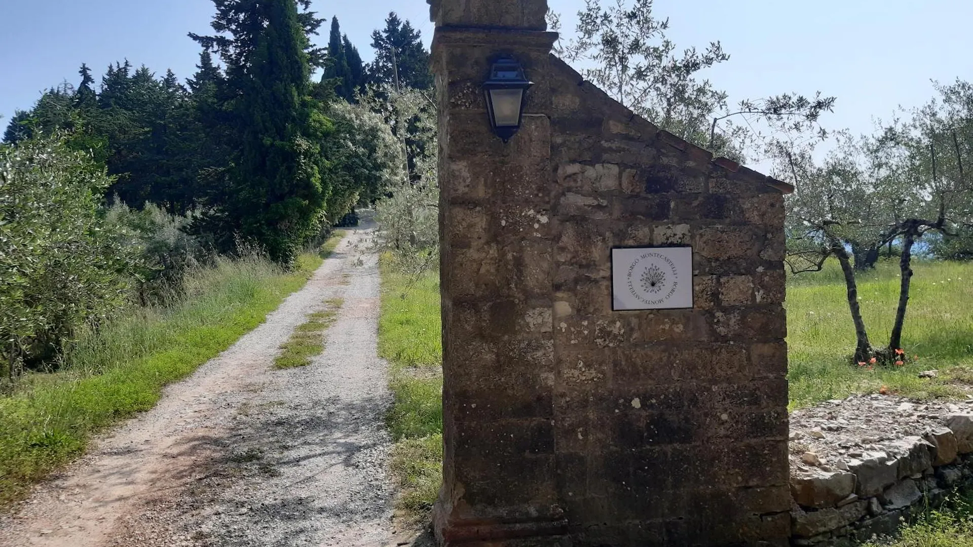Casa Degli Ulivi - Cottage With Swimming Pool Castellina in Chianti